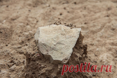 В Кении найдены древнейшие орудия труда возрастом 3,3 млн лет | Новости | Вокруг Света