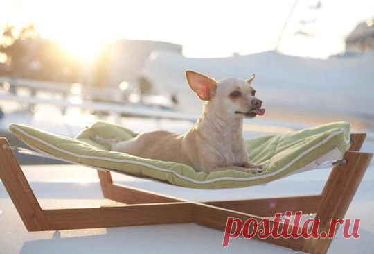 33 Ideas de guaridas y camas para consentir a tus mascotas