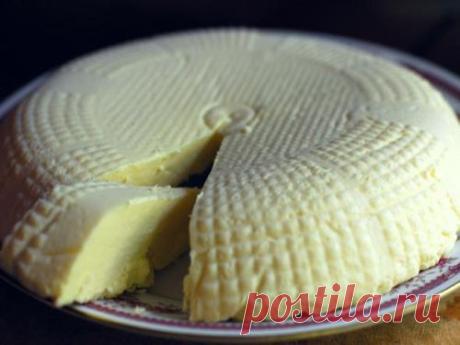 Брынза в домашних условиях своими руками