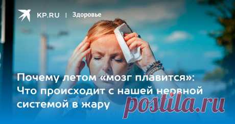 2024--В жаркую погоду мозг переходит в РЕЖИМ СБЕРЕЖЕНИЯ ресурсов