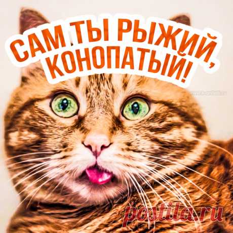 В день поцелованных огнем,
День ярких, рыжих, золотых,
Тебе желаю я во всем
Побед прекрасных и больших.
