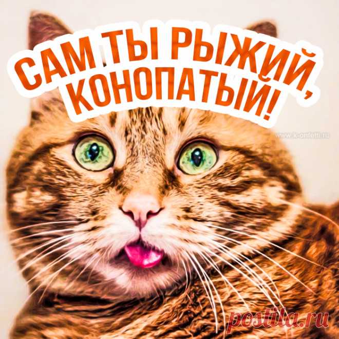 В день поцелованных огнем,
День ярких, рыжих, золотых,
Тебе желаю я во всем
Побед прекрасных и больших.