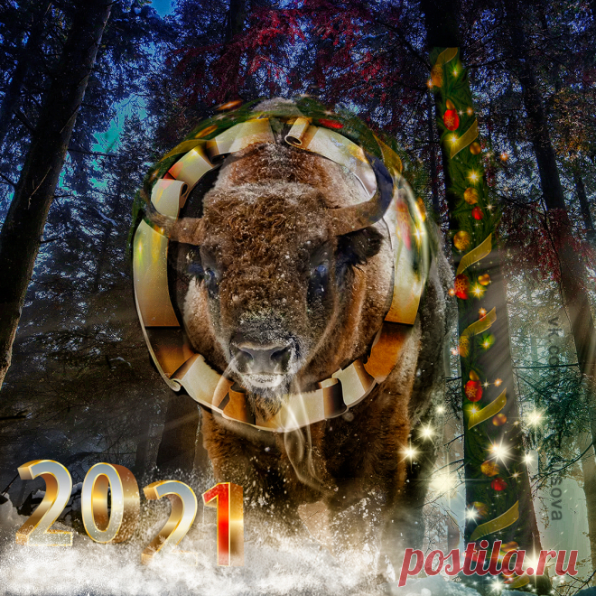 2021