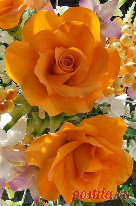 b57599aecc733a894844115c1a0935ee.jpg (634×960)