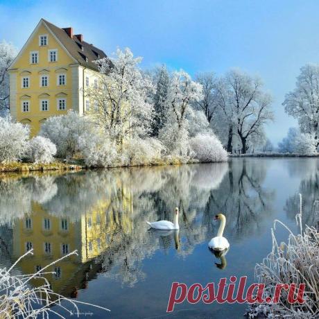 "Цветы- радость жизни"