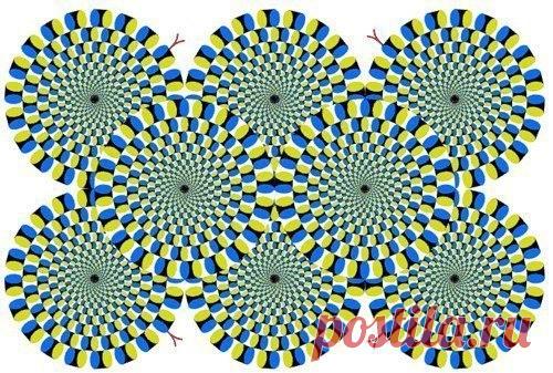 Эту иллюзию изобрел японский психиатр Акиоши Китаока. Он утверждает, что иллюзия неподвижна для спокойных, уравновешенных и отдохнувших людей. Если же иллюзия активно движется, то вам нужен отдых и сон в течение 8 часов. Ну, а если же иллюзия очень быстро движется, то вам срочно нужен… отдых в больнице.
Итак, проверяем себя, и если что – начинаем отдыхать!