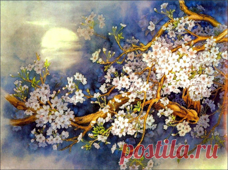 cherry-blossom.jpg (1036×772)