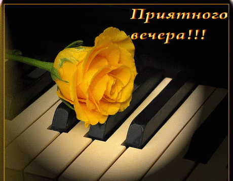 (3) Мой Мир@Mail.Ru
