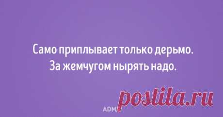 20 открыток от тех, кто за словом в карман не лезет