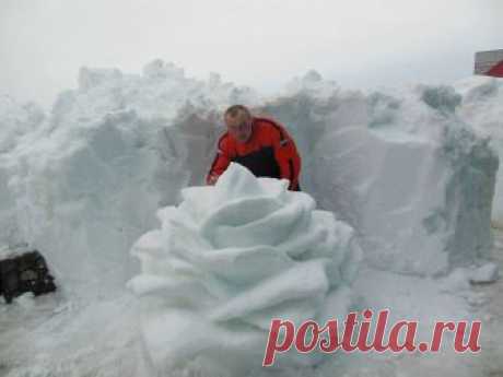 Роза из снега)