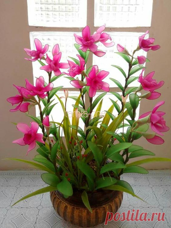 (673) Pinterest