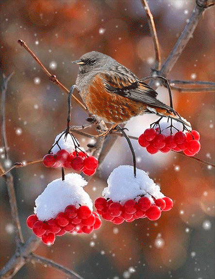 Мой Мир@Mail.Ru