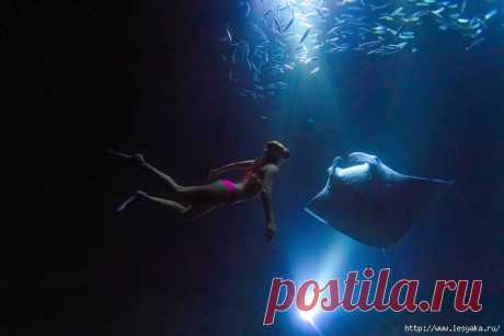 Морской дьявол: подводные фотографии из сердца океана!
