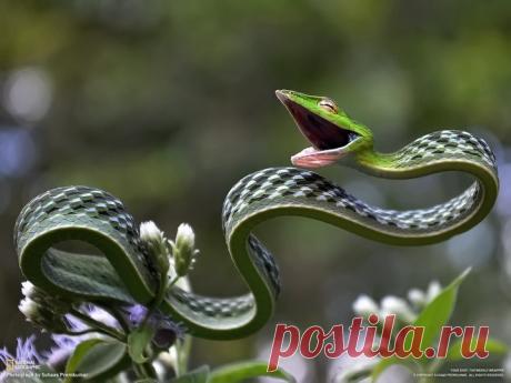 15 фоток с очень неожиданным сюжетом