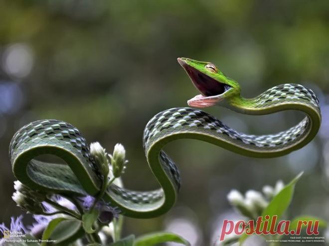 15 фоток с очень неожиданным сюжетом