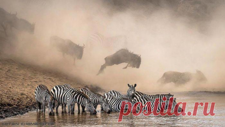 National Geographic выбрал лучшие фотографии в Инстаграме, вот 25 впечатляющих снимков
