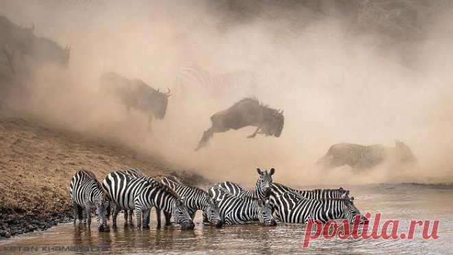 National Geographic выбрал лучшие фотографии в Инстаграме, вот 25 впечатляющих снимков