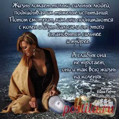 T-ヤシ美 M
Россия, Москва