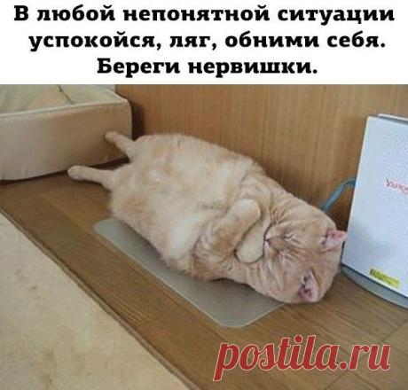 Чёрный юмор - Группы Мой Мир