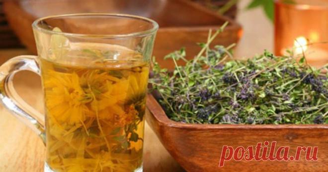 Рецепт для продления жизни, который был переведен на все языки мира! — Домашний уют