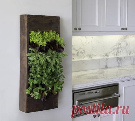 Удобная кухня: 15 гениальных идей о которых нужно было знать еще вчера