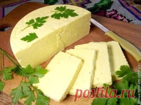 Ленивая домашняя брынза | Женский блог