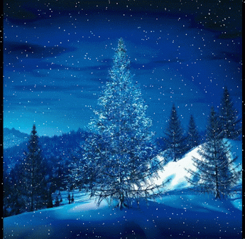 Yalcin Biricik – Google+