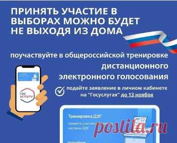 Запись на тренировку ДЭГ через Госоуслуги. Как подать заявление на дистанционное голосование?