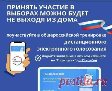 Запись на тренировку ДЭГ через Госоуслуги. Как подать заявление на дистанционное голосование?