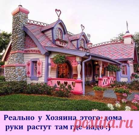 Интересные новости