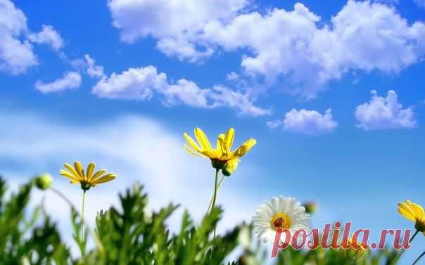 ВИДЫ ДЫХАНИЯ