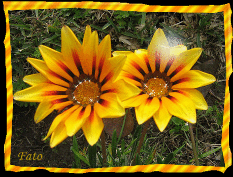 Фотографии • ДЛЯ МОИХ ДРУЗЕЙ!!! - 5467 фото в Моем Мире.