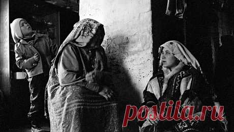Ядовитый деликатес: какая еда северных народов смертельно опасна для русских - Рамблер/субботний