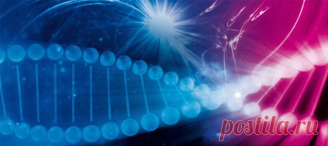 в 20:30 по мск. Елена Брежнева и Активация Головного мозга.  Ваша ссылка на вход: https://ochihenie.clickmeeting.com/sila-gizni