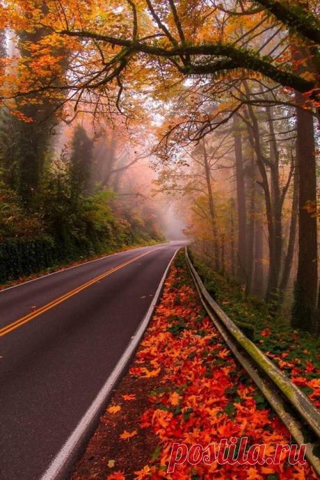 rosiedreams • Autumn catchment