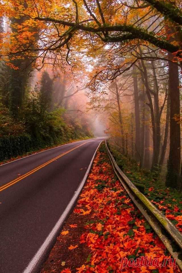 rosiedreams • Autumn catchment