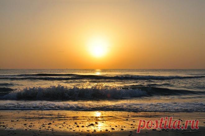 ФОТОМАСТЕРСКАЯ ПРИРОДЫ
Valeri Braun