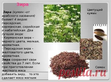 Всего 1 чайная ложка этого средства в день поможет сжечь в 3 раза больше жира