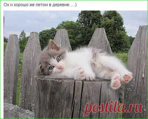 ВСЁ ЛУЧШЕЕ ИЗ YOU TUBE (16 плюс)
Василий Суханинский