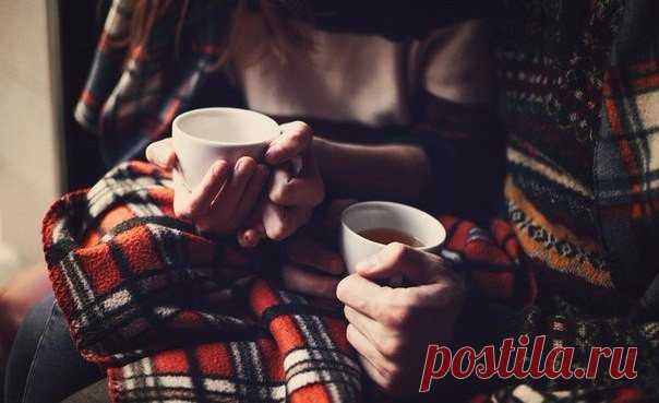 Цитата дня.