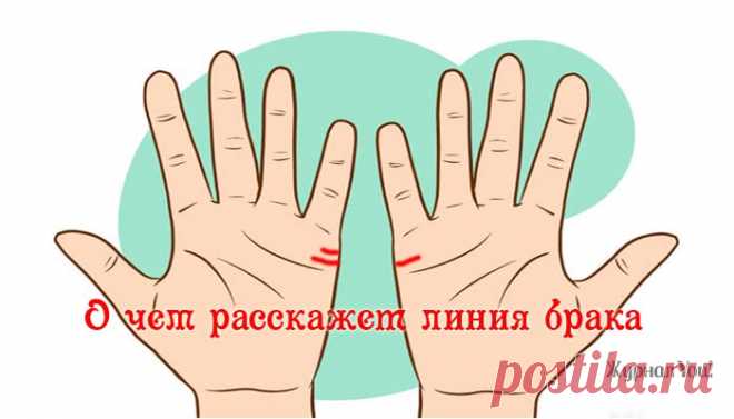 О чем расскажет линия брака на ладони