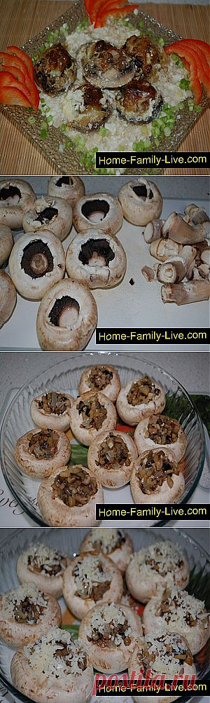 Кулинарные рецепты Фаршированные шампиньоны &raquo; Кулинарные рецепты