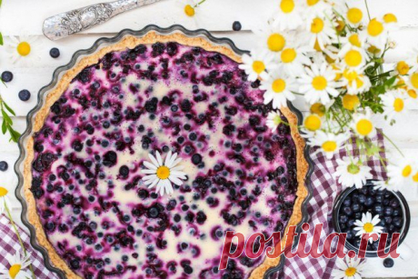 Что приготовить из смородины – лучшие рецепты вкусных блюд и напитков | Статьи (Огород.ru)