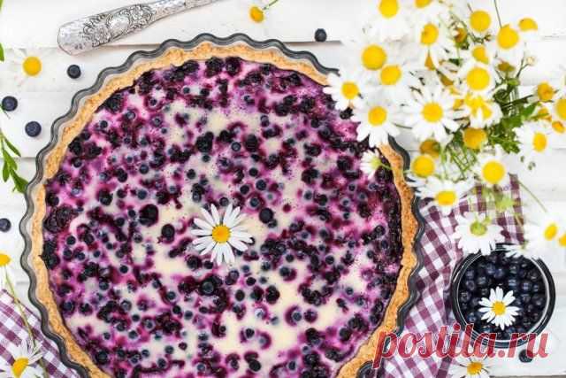 Что приготовить из смородины – лучшие рецепты вкусных блюд и напитков | Статьи (Огород.ru)