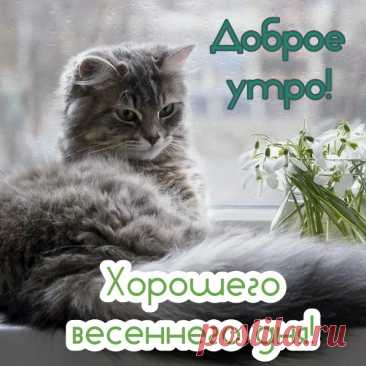 Доброго и прекрасного! Пусть день начнется с улыбки и хорошего настроения!