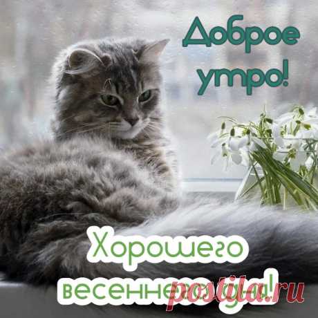 Доброго и прекрасного! Пусть день начнется с улыбки и хорошего настроения!