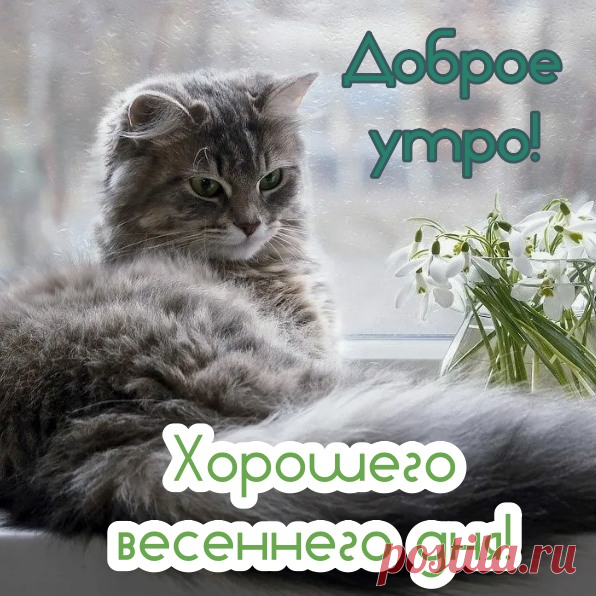 Доброго и прекрасного! Пусть день начнется с улыбки и хорошего настроения!