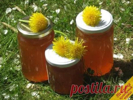 Варенье из одуванчиков (рецепт) — Кулинарный портал Печенюка