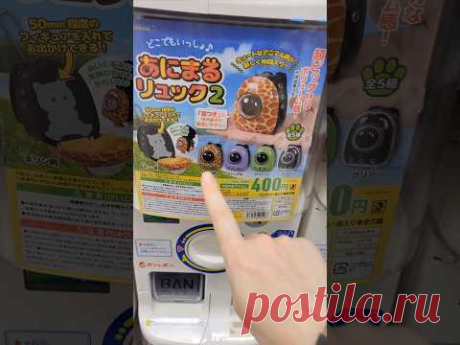 MrCream говорит: леопард это не модно, а бесмертная классика #unboxing #gashapon #barbie #りかちゃん