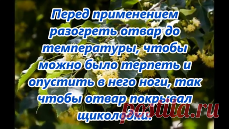 Липовый отвар от отложения солей